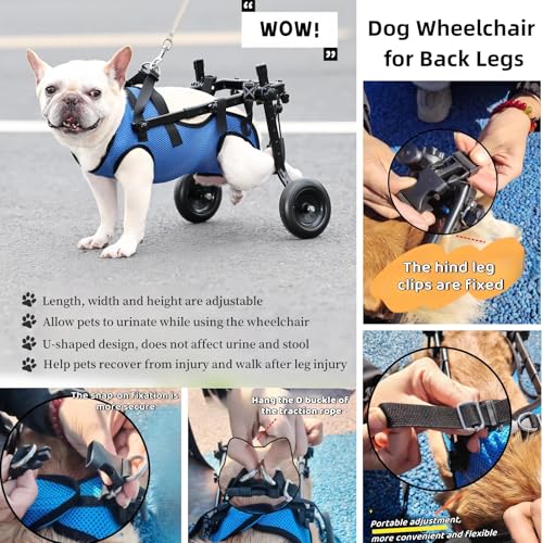 Image of Adjustable Lightweight Dog Wheelchair for Back Legs & Cat Mobility Aid - Small Dog Wheelchair Cart with Wheels for Disabled Hind Legs, Hip Support & Rehabilitation (M-(Suitable for 5 to 10 kg))