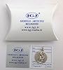 I G J Saint Francis of Assisi Medal - The Patron Saints Medals -100% Made in Italy (St.Francis with The Wolf) #4
