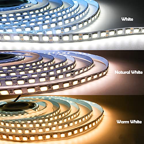 Tira de luces LED 12V 16.4ft blanco 6000K 600 LEDs miniatura 5