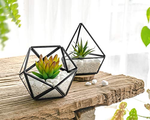 Mkono Artificial Succulent In 3 Pack Mini Glass Geometric Terrarium, Miniature Potted Faux Plant Bookshelf Desk Boho Office Room Decor For Women Girls Dorm Gift Idea, Black #TOP2