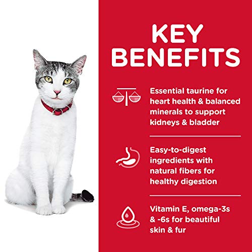 Hills-Science-Diet-Dry-Cat-Food-Adult-11-for-Senior-Cats-Chicken-Recipe-155-lb-Bag