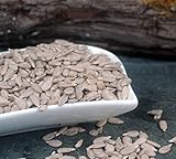 Naturix24 - Sonnenblumenkerne geschält 100g