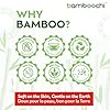 Bamboochi Bamboo Toilet Paper, Septic Safe Toilet Paper 2 Ply 12 Rolls 300 Sheets Per Roll, Soft Unscented Bath Tissue, RV Safe, Eco-Friendly, Non Chlorine, PFAS Free, Made in Canada