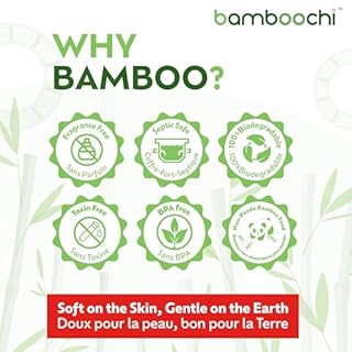 Bamboochi Bamboo Toilet Paper, Septic Safe Toilet Paper 2 Ply 12 Rolls 300 Sheets Per Roll, Soft Unscented Bath Tissue, RV Safe, Eco-Friendly, Non Chlorine, PFAS Free, Made in Canada