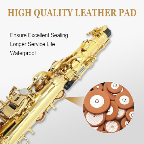 alto saxophone beginner kit for adults student saxophone eb professional brass saxophones instrument with sax case mouthpiece reeds gloves cleaning cloth amp brush gold