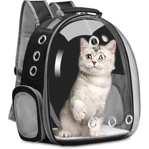 Qfmr ybgL[obO LL[ Lp FDJvZ^ bNTbN sybgobO  o UVJbgO΍^ ʋC e ϋv S ܂肽 pbht ubN (ubN)