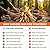 Avger Natural Fire Starter for Grills: Quick Start Fire Starters Sticks for Campfires Outdoor Firepit Indoor Fireplaces BBQ & Wood Stove - Odorless Charcoal Firestarter Blocks 30 Count