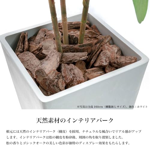 神戸花物語 フェイクグリーン カポック LL （シェフレラ・アルボリコラ） 斑なし 全高160cm 樹脂鉢Lサイズ ブラック 人工観葉植物 大型 SC/CT触媒 光触媒 [4]