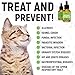 Natural Antibiotíс for Dogs - Immune System Booster for Dogs - Kennel Cough Remedy for Pets - UTI Treatment - Allergy Immune Supplement for Pets - Antibiotícs Alternative for Cats