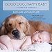 Good Dog, Happy Baby: Preparing Your Dog for the Arrival of Your Child