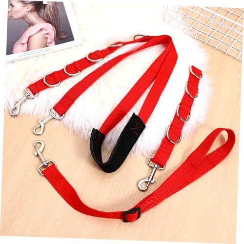 Accessoires pour chiens de toilettage avec sangles réglables robustes - 6