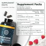 Primal Harvest Restore for Gut Health, Primal Gut Restore w/POSTbiotics, PREbiotics and PRObiotics for Women and Men, 60 CT - Digestion, Colon Cleanse, Immunity Support - Helps Leaky Gut Repair - Image 3