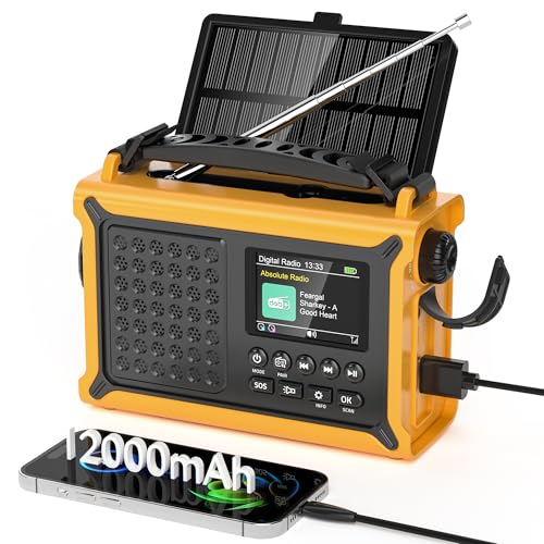 Mesqool DAB/DAB+/UKW Digitalradio mit Bluetooth 5.0, Solar Notfallradio mit Leselicht, 2,4' Farbdisplay, Tragbare Camping Kurbelradio mit USB Handyladefunktion, Dual Wecker, SOS-Alarm für Outdoor