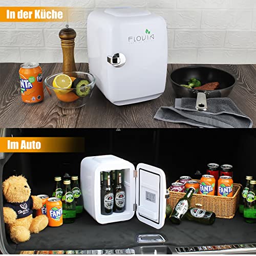 Mini Fridge 2in1 Small Cool Box, 4 Litres / 6 Cans, Drinks Refrigerators, Cosmetic Mini Cool