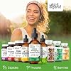 Wild & Organic Stinging Nettle Root Extract Drops - Urinary Support - Stinging Nettle Supplement - Add to Tea Herb - Liquid Urtica Dioica Supplement - Vegan, Sugar & Alcohol-Free Tincture - 2 fl oz