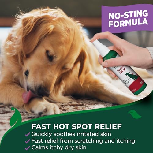Vet's Best Dog Hot Spot Juckreiz Relief Spray, Lindert trockene Haut, Ausschlag, Kratzen, Belecken, juckende Haut und Hot Spots bei Hunden, brennt nicht und ist alkoholfrei 250ml