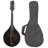 Eastman MD305 A-Style Mandolin With Case