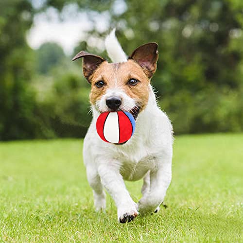 PIANG GOUER 2 Stück Hundespielzeug für Kleine Hunde, Plüsch Quietscher Hundespielzeug Basketball und Volleyball Interaktives Mittelgroße Hunde, Welpe Kauspielzeug Gefülltes Spielzeug Ball Geschenk