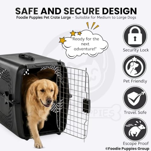 Image of Foodie Puppies Imported Plastic Pet Travel Carrier Cage (66 x 47 x 53 cm, Large) for Medium to Large Dogs & Adult Cats | Portable Transporter Box with Metal Door & Spring Lock