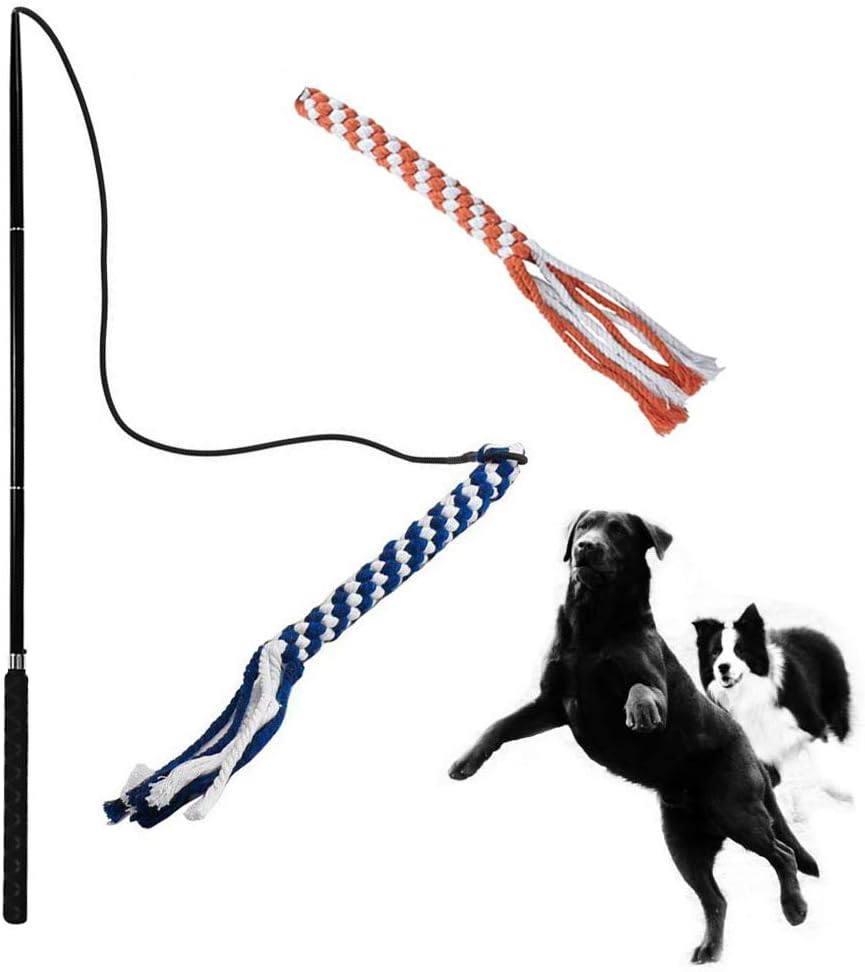 ASOCEA Flirt Pole for Dogs Pitbull Teaser Wand Outdoor (Orange&Blue)