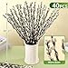 Oning 40 Stems Real Dried Pussywillow Preserved Greenery Branches for Vase-16'' Natural Pussywillows with White Flowers, Snow Willow Branches for Easter Wedding Home Party Hotel Fireplace Yard Decor