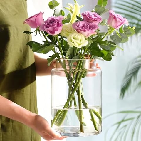 KOIUEYW 9-Inch Clear Vase Cover
