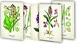 Kunstklappkarten "Zauberhafte Orchideen" - Herausgeber: Quelle & Meyer Verlag 
