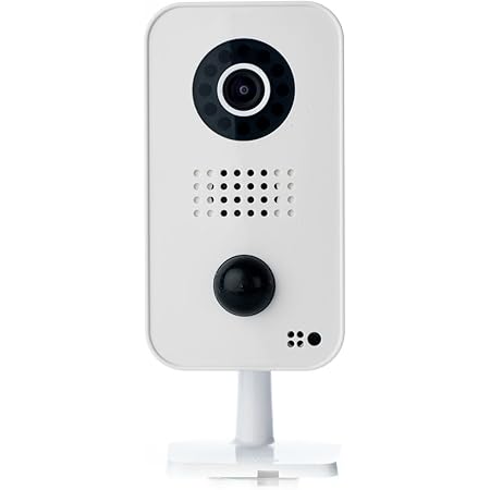 bird video camera