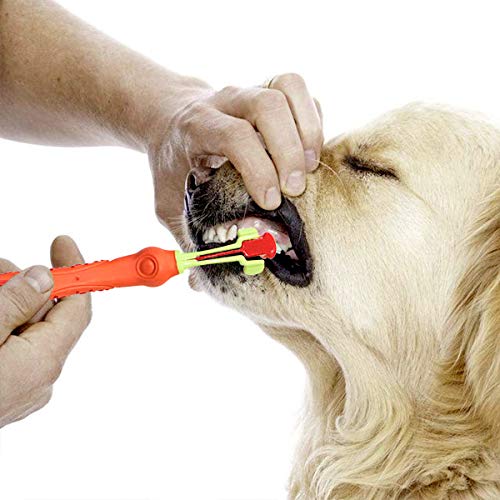 RBNANA Spazzolino da denti per cani, confezione da...