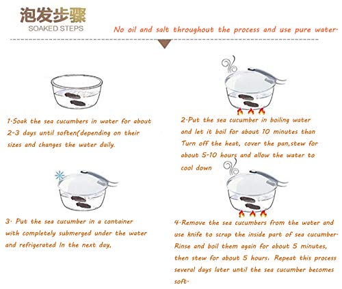 Dol 禮盒大包裝 Sun Dried Sea Cucumber,Wild Caught Deep Sea Glaciers,All Natural Nutritious,天然淡乾冰川野生海參 35~50Pcs 16Oz. (453G.) #TOP5