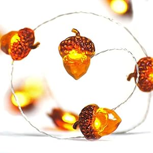 BOHON Thanksgiving Decorations Acorn Lights String 10ft 40 LEDs Fairy String Lights Battery Operated with Remote Fall Lights for Home Autumn Garland Bedroom Christmas Tree Halloween Party Decor BOHON Thanksgiving Decorations Acorn Lights String 10ft 40 LEDs Fairy String Lights Battery Operated with Remote Fall Lights for Home Autumn Garland Bedroom Christmas Tree Halloween Party Decor