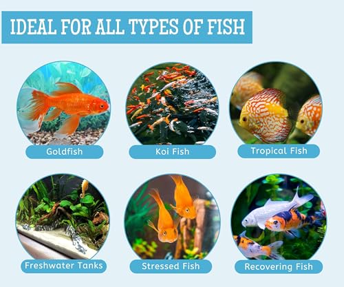 Image of Foodie Puppies Aquatic Aquarium Salt Balls for Fish Tanks - 350gm | Ornamental Fish - Stress Relief, Gill Function Support, Electrolyte Balance & Nitrite Detox for Koi, Goldfish & Freshwater Tanks