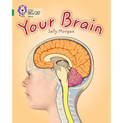 Your Brain