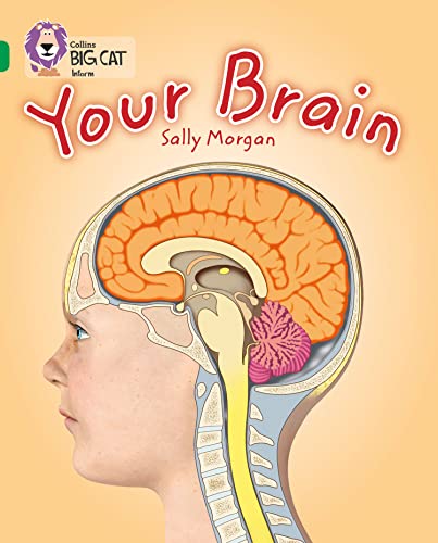 Your Brain (By: Sally Morgan)