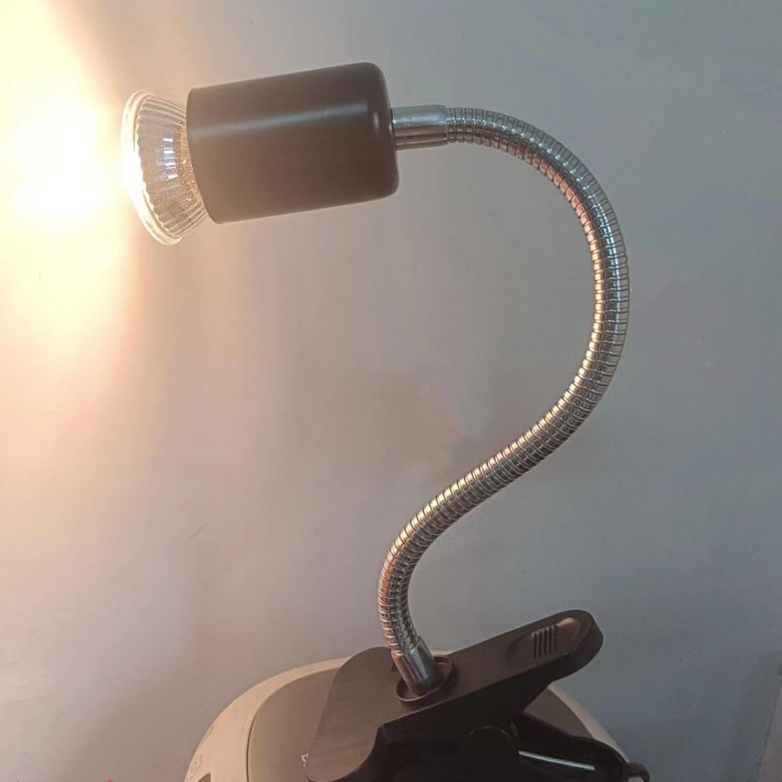 BLOMDE Culot halogène MR11, 110 V, 10 W, 20 W, 35 W, 50 W, ampoule halogène blanc chaud 2700 K, convient aux lampes sur rail et à l'éclairage décoratif de la maison. (20 unités / 110 V 10 W)