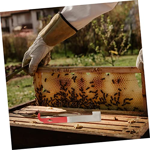 BESPORTBLE-1-Set-Beekeeping-Tools-Stainless-Spatula-Beehive-Frames-Swarm-Commander-Stainless-Steel-Beekeeper-Scraper-Bee-Brush-Beekeeping-Gear-Equipment-Honeycomb-Single-Row-Alloy