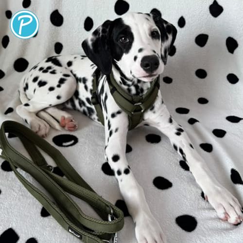 Petlando Hundegeschirr gepolstert, Mesh Y-Comfort, weich, stufenlos verstellbar, besonders leicht & atmungsaktiv, fellschonend, ergonomisch, Brustgeschirr für mittelgroße Hunde, Olive, M