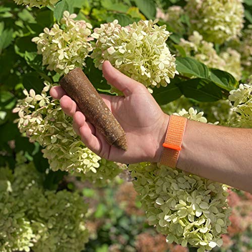 The Old Farmer'S Almanac OFA-FS1333 Tree & Shrub Fertilizer Spikes thumb #4