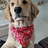 SULIUDAJI 2 Stück Hunde Bandana Kopftücher, Hundehalstuch Mit Halsband, Dreieckstuch Halsdreiecke Hundehalstcher, Einstellbare Hund Halstuch Für Welpen Kleine Große Hunde Und Katzen