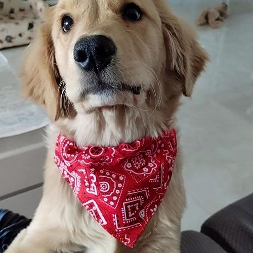 SULIUDAJI 2 Stück Hunde Bandana Kopftücher, Hundehalstuch Mit Halsband, Dreieckstuch Halsdreiecke Hundehalstcher, Einstellbare Hund Halstuch Für Welpen Kleine Große Hunde Und Katzen