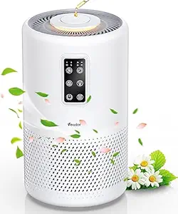Air Purifiers for Home Large Room, VEWIOR Air purifier Up to 1200ft, H13 True HEPA Air Filter for Pet Pollen Smoke Odor, with Sleep mode, 4 Timer, 3 Fan Speed, Child Lock
