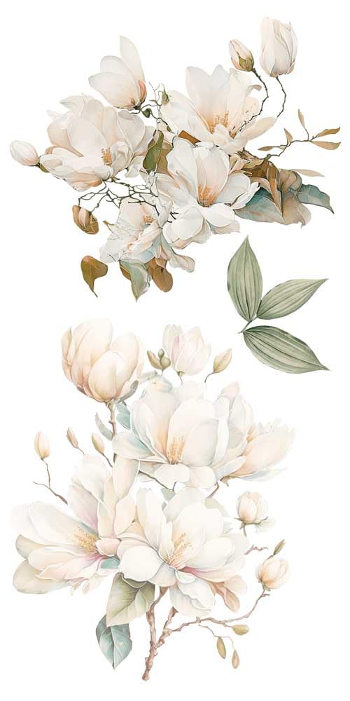 Papers For You - Trasferimenti decorativi per artigianato e mobili/adesivi di trasferimento decorativo/15 x 30 cm 6"x 12" 4 fogli (Magnolie)