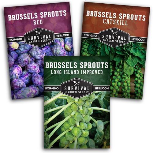 Brussels Sprouts Seeds 3 Variety Pack for Planting - Survival Garden Seeds