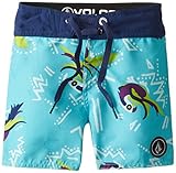 Volcom Little Boys' The Bird Boardshort