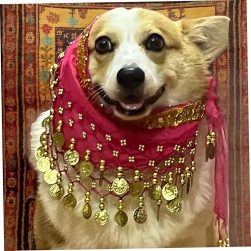 Disfraz para perro estilo danza del vientre con cadenas miniatura 3