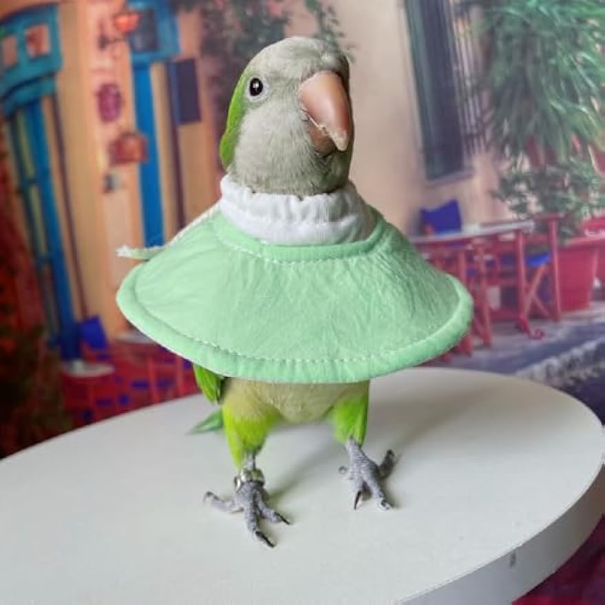FORZENA Bird Cone Collar Parrot Anti-bite Elizabethan Collars Protective Anti-Grab Feather Wound Healing Recovery Cones for Lovebird Cockatiel Budgerigar Parakee (L)
