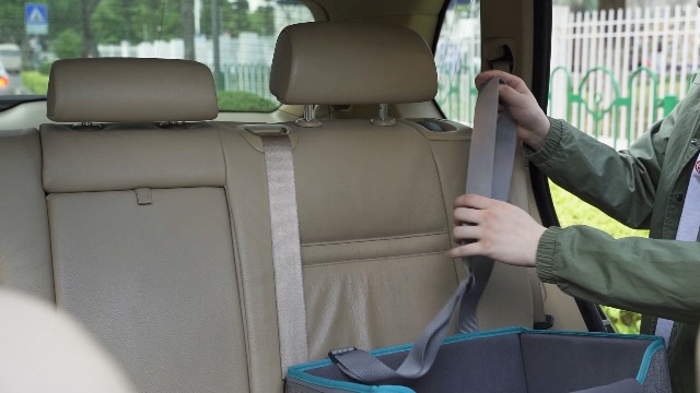 Hunde Autositz Mit Sicherheits-Gurtsystem Für Kleine
