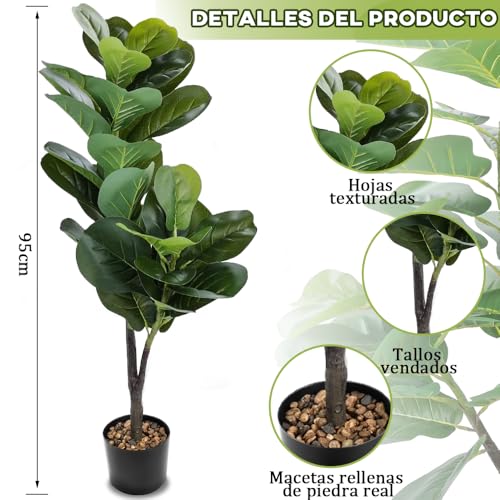 La mejor comparación de Plantas que Puedes Comprar On-line. 5 Plantas marca Libara (2)