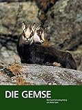 Die Gemse – Biologie und Jagd