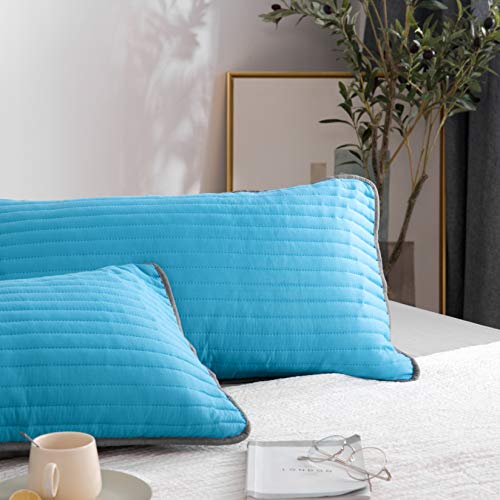 QZY - Set di 2 federe per cuscino, 40 x 80 cm, di